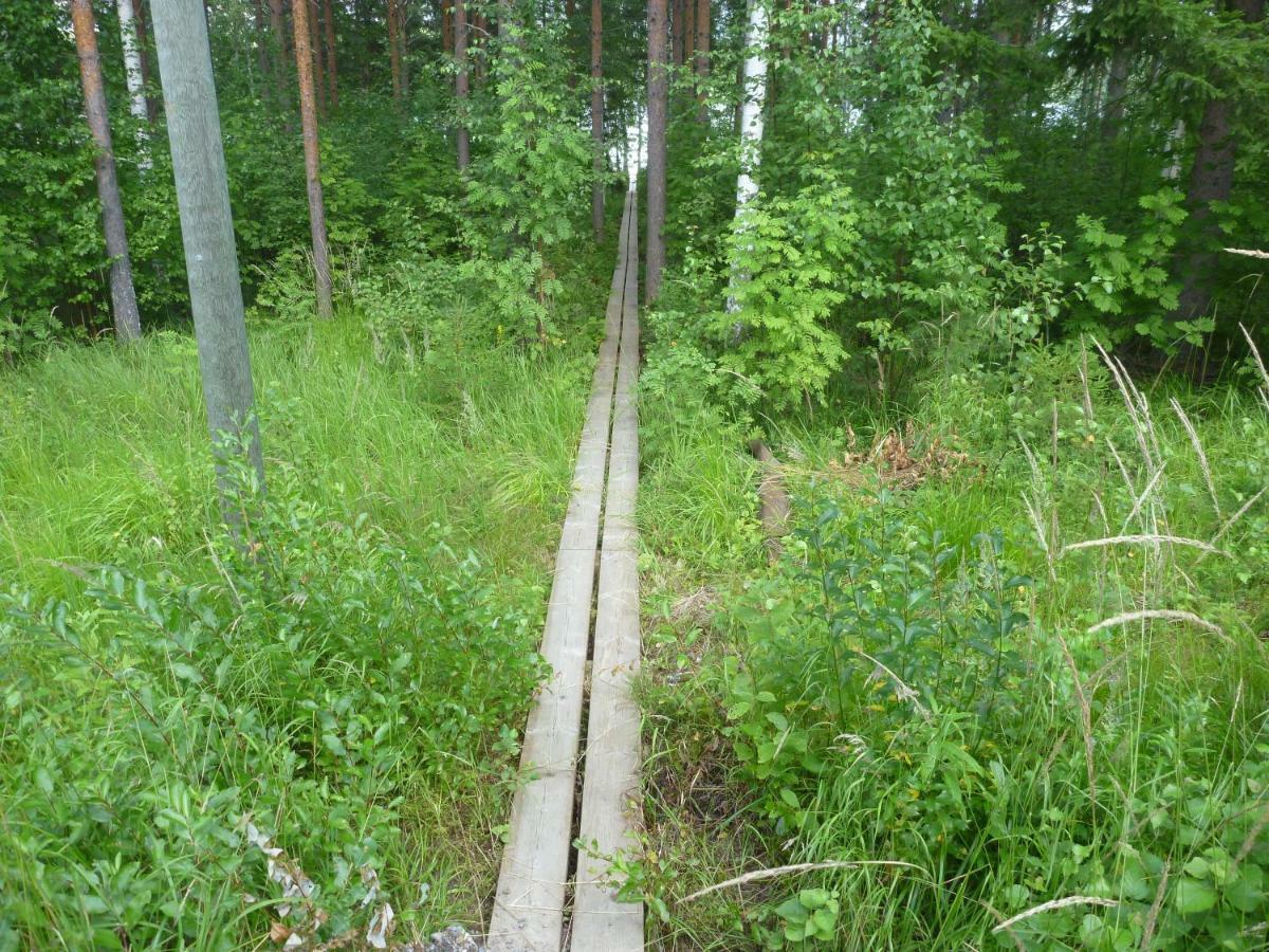 Коттедж в Финляндии, Enonkoski  Экстерьер фото